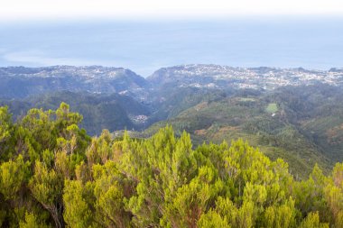 Renkli volkanik dağ manzarası Madeira Adası, Portekiz