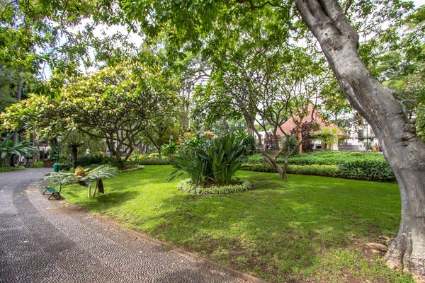Berömda Tropiska Botaniska Trädgårdar Stan Funchal Madeira Portugal — Stockfoto