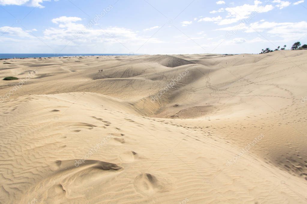 African european sand dune desert in Maspalomas, Gran Canaria, Spain