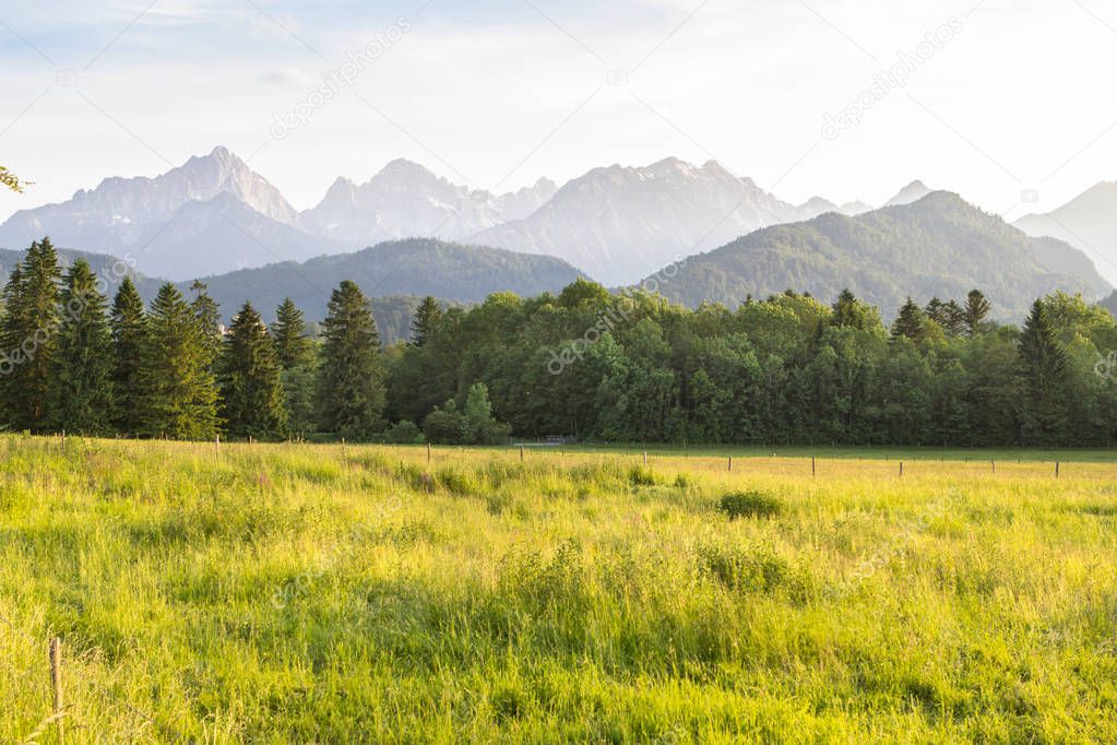 Landscape of the alpine meadows, forest in the mountains area