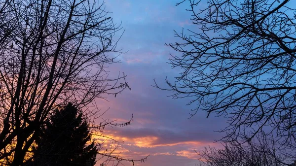 Драматическое небо на закате в лесу — стоковое фото
