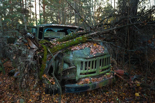 Fallen tree on abandoned truck left outside — Stock Photo, Image
