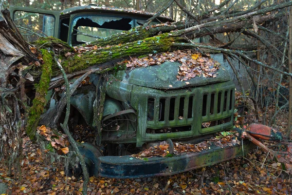 Umgestürzter Baum auf herrenlosem Lastwagen — Stockfoto