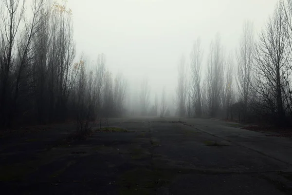 Dark abandoned road in the forest — Stock Photo, Image
