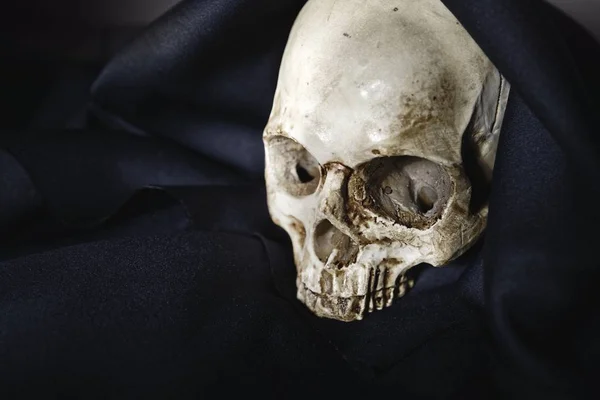 Closeup foto um velho crânio coberto de roupão preto — Fotografia de Stock