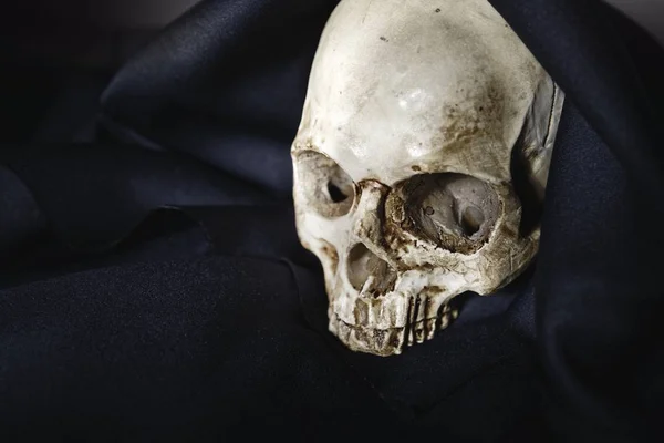 Closeup photo an old skull covered in black robe — Stock Photo, Image