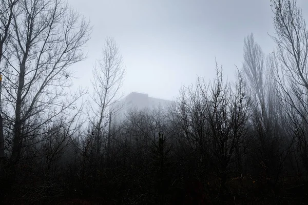 Ciemny opuszczony dom w lesie — Zdjęcie stockowe