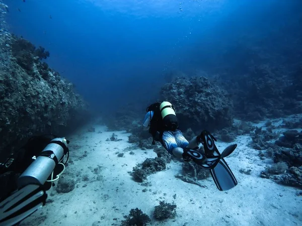 Scuba Diver aflopend naar de bodem — Stockfoto