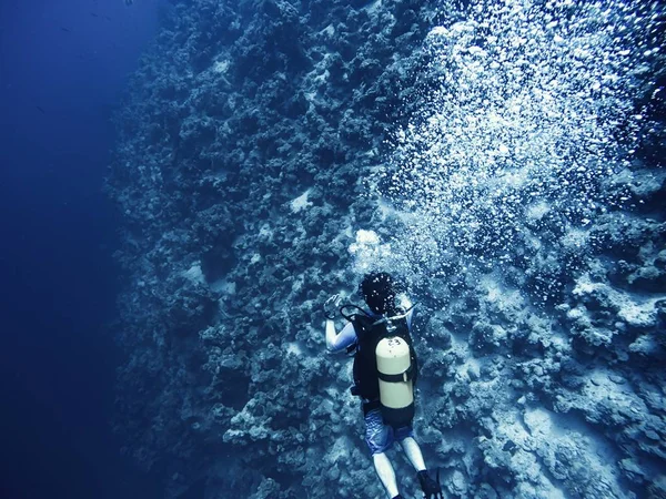 Scuba dalgıç dibe iniyor — Stok fotoğraf