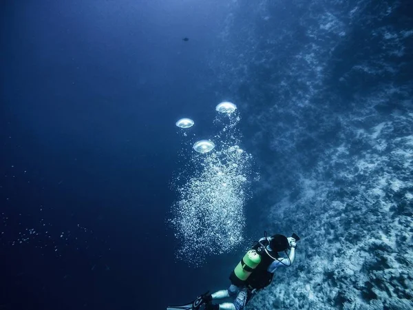 Mergulhador descendo para o fundo — Fotografia de Stock