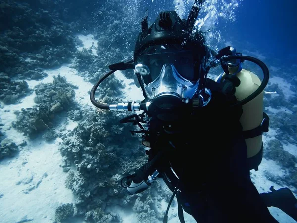 Scuba dalgıç dibe iniyor — Stok fotoğraf