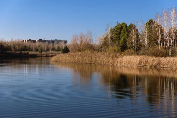 Herzförmiger See in den Sümpfen — Stockfoto