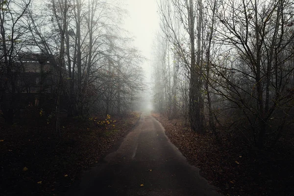 Σκοτεινό εγκαταλελειμμένο δρόμο στο δάσος — Φωτογραφία Αρχείου
