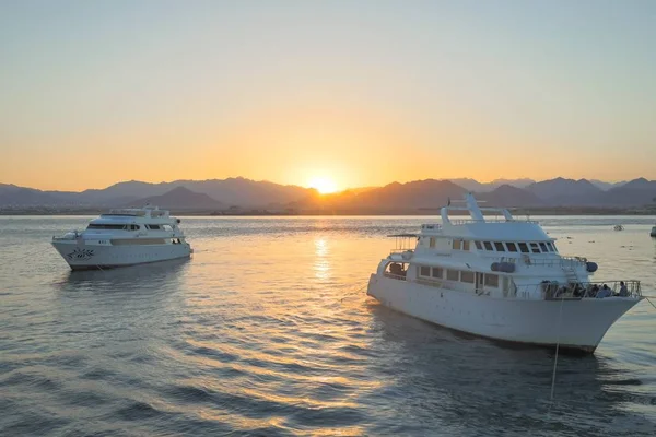 White yachts on the Red Sea at sunset — Stock Photo, Image