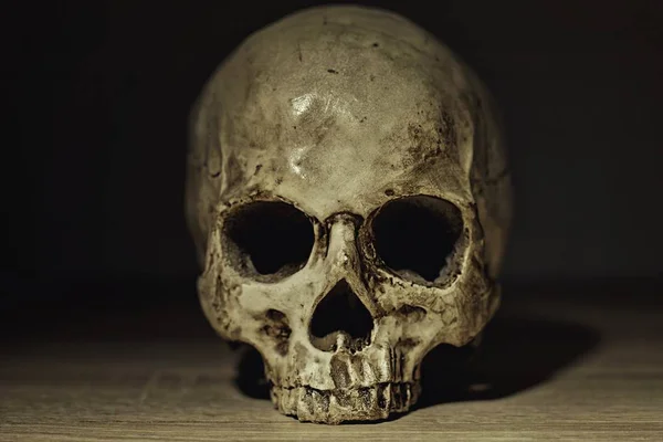 薄暗い光クローズアップ写真で人間の頭蓋骨 — ストック写真
