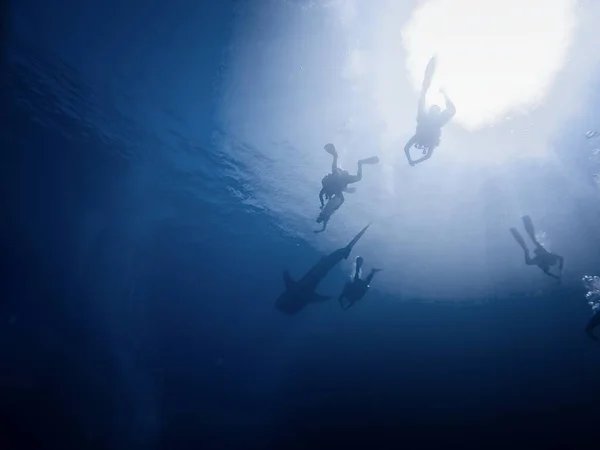 Mnoho potápěčů v moři — Stock fotografie