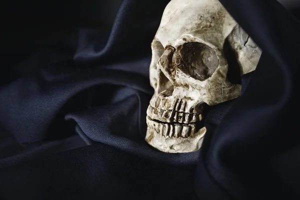Closeup photo an old skull covered in black robe — Stock Photo, Image