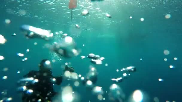 水面付近のブイを膨らませるダイバー — ストック動画