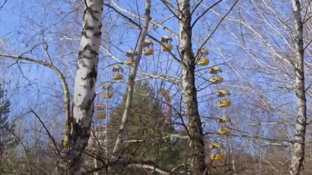 Riesenrad Der Geisterstadt Pripyat 2019 Freien — Stockvideo