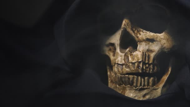 Human Skull Smoke — Stock Video