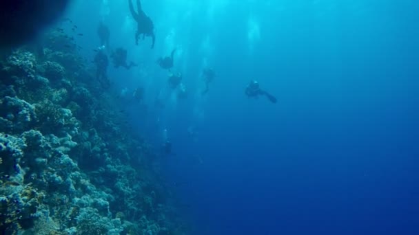 Buceadores Bajo Agua Mar — Vídeo de stock