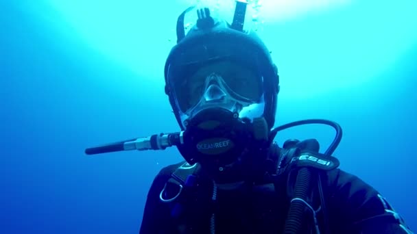 潜水员水下在大海中 — 图库视频影像