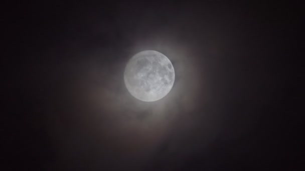 Luna Llena Cielo Nocturno Primer Plano Imágenes Uhd Obstrucción — Vídeos de Stock