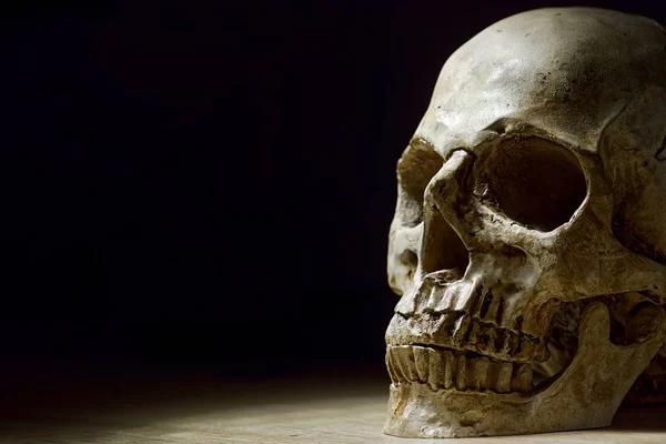 Human skull close up photo — Stock Photo, Image