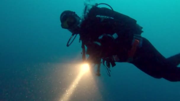 潜水员与手电筒水下在夜间特写镜头 — 图库视频影像