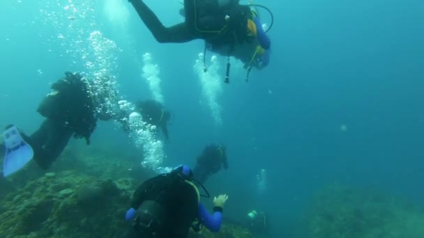 Δύτες που κολυμπούν υποβρύχια στη θάλασσα — Αρχείο Βίντεο