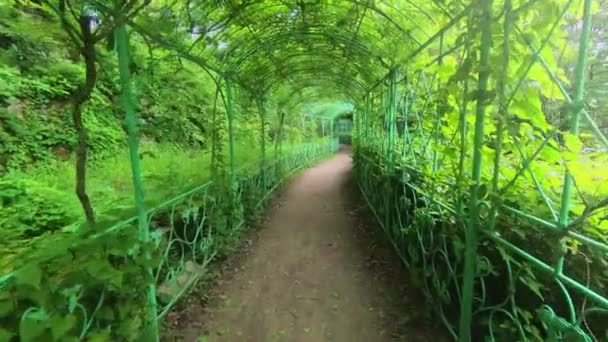 Caminho verde em belas imagens de movimento do jardim — Vídeo de Stock