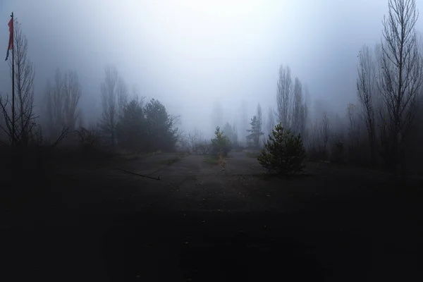 Estrada abandonada escura na floresta — Fotografia de Stock