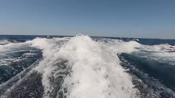 Salpicar agua de un barco a motor como material de fondo — Vídeos de Stock