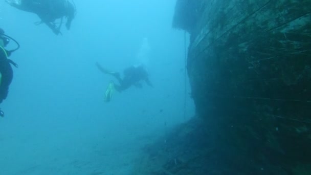 Potápěči podvodní plavání v moři — Stock video