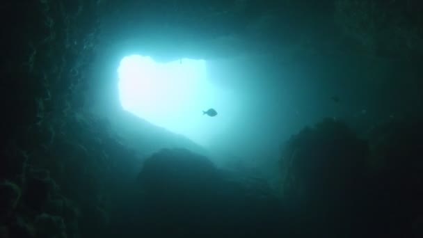 Filmación de una cueva submarina con luz — Vídeo de stock