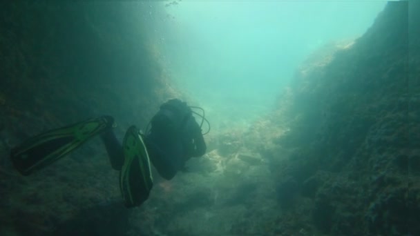 Unterwasseraufnahmen von Tauchern im Wasser — Stockvideo