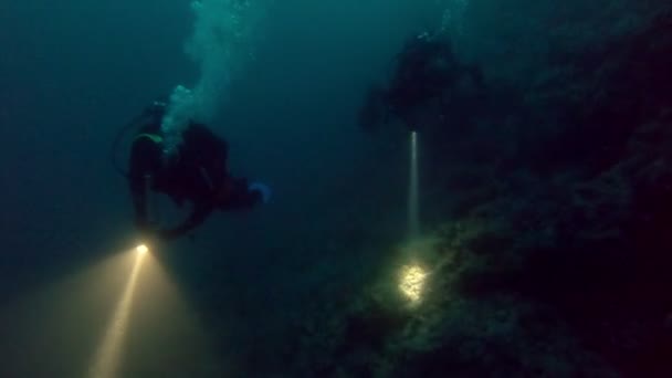 Divers with flashlights underwater at night — Stock Video