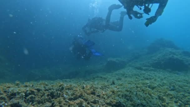 Divers underwater neer coral reef — Stock Video