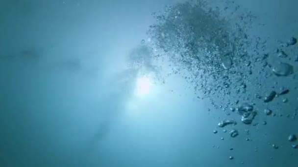 Бульбашки піднімаються знизу під водою — стокове відео