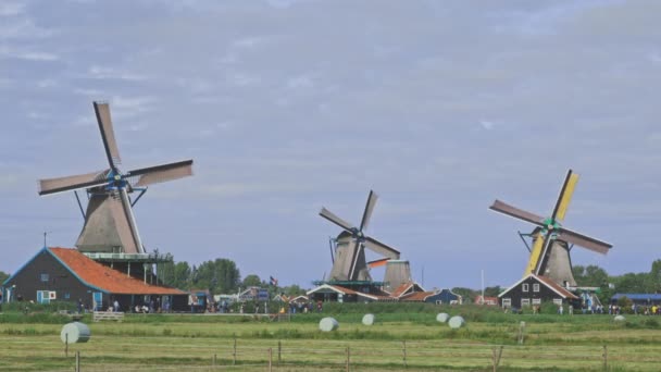 Molinos de viento holandeses en Holanda material de primer plano — Vídeos de Stock