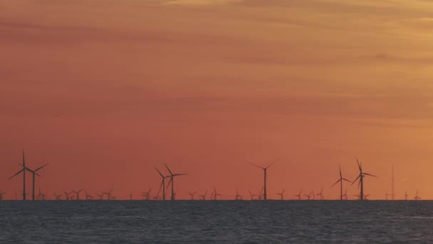 Вітрові турбіни в морі під заходом сонця — стокове відео