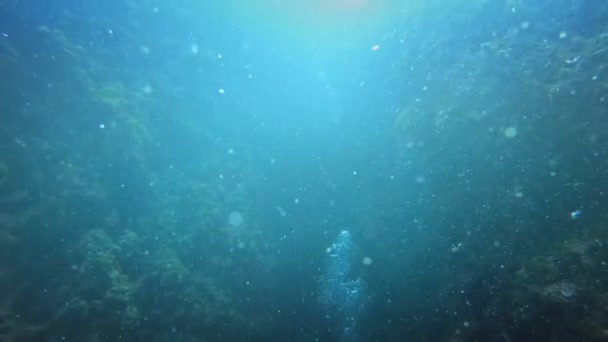 Bolhas subindo de baixo subaquático — Vídeo de Stock