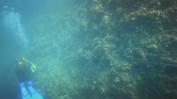 Mergulhadores submarinos mais neer recife de coral — Vídeo de Stock