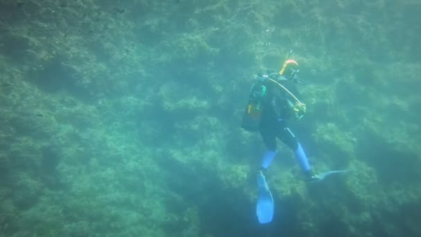 Divers underwater neer coral reef — Stock Video