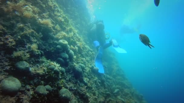 Dykare under vattnet neer korallrev — Stockvideo