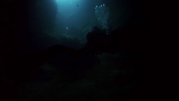 Foorage submarino de buzos en el agua — Vídeo de stock