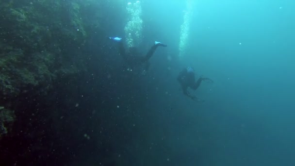 Foorage submarino de buzos en el agua — Vídeo de stock