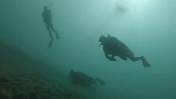 Foorage subaquático de mergulhadores na água — Vídeo de Stock