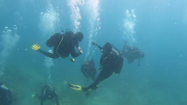 Foorage submarino de buzos en el agua — Vídeo de stock