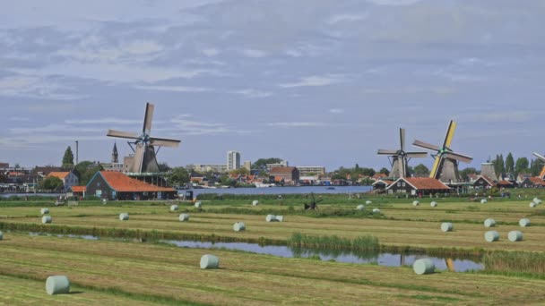 Niederländische Windmühlen in niederländischen Nahaufnahmen — Stockvideo